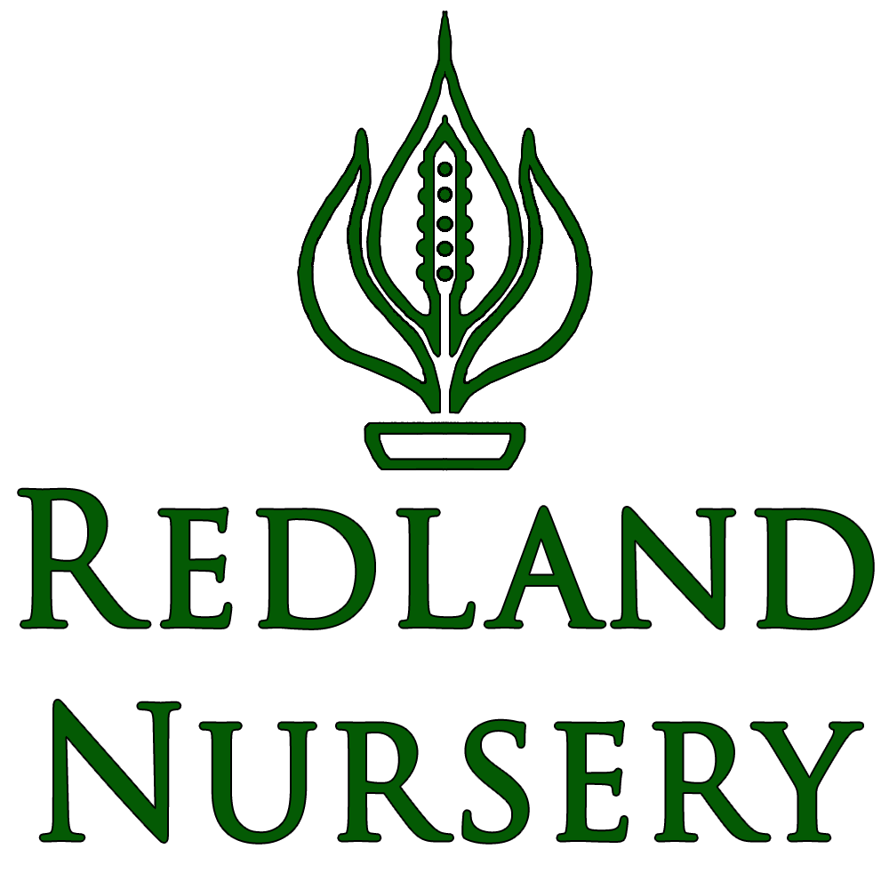 Redland Nursery – Wholesale Nursery Homestead - Redland Nursery – Wholesale Nursery Located in Homestead, Florida